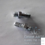 Болт полый (под трубку слива) 2053700034, 993824003 (10082) Болт полый (под трубку слива) 2053700034, 993824003 (10082)