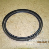 ������� 124�145�12 31F02-03080 (20808)