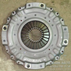   430  XML 6129 (20269)