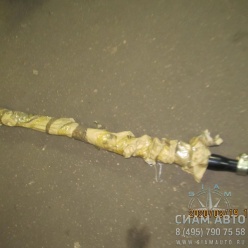 ���� ������� ������. �����. Zk 3422-00051 (Y00301)