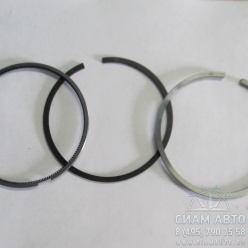 ������ ��������� BF4M1012 (80247)