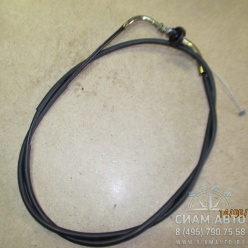 ���� ���� ����� Hardy (�00074)