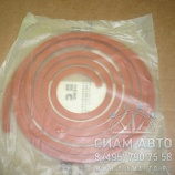 ��������� ��������� ������ 3905449 �300-20 (�00033)