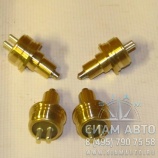 ������ ������� ���� XML6129 (20210)