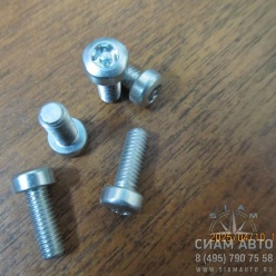 Болт контроллера 0295 9523D / M6X25MM / 0211 2403 (80560) Болт контроллера 0295 9523D / M6X25MM / 0211 2403 (80560)