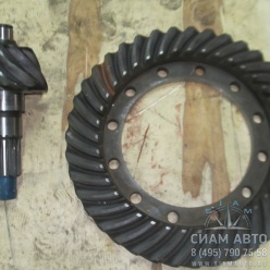 ������� ���� 39�9 16 ������ XML6129 (20381)