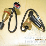    XML6126 (21010)