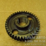 Шестерня распределительного вала (Д-245.7) (60884) Шестерня распределительного вала (Д-245.7) (60884)