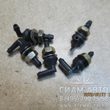 �������� ���������������� KLQ (30544)