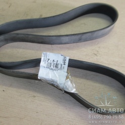 ������ 10PK1570 (50061)