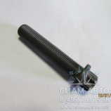 ���� ����� ��������� / 04253406 (80352)