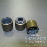 �������� ������������ CY4102BZLQ (20508)