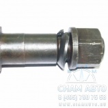 ���� ������ ������ ������� + ����� + ������ 116 ��. [341-339091] / ������ (10078)