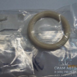 ������ ���. / 02424963 (80331)