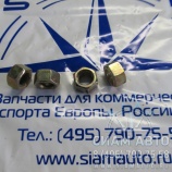 Гайка пальца рессоры Тагаз Hardy (Н00064) Гайка пальца рессоры Тагаз Hardy (Н00064)