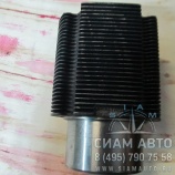 ������ ��������� / 442010010144 (10835)