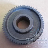  5  115303009 XML6129 (20350)