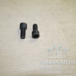Болт крепления крейцкопфа M12x25 /3095430012180/ UDS (11251) Болт крепления крейцкопфа M12x25 /3095430012180/ UDS (11251)