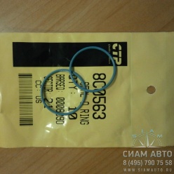 ������ �������������� ������ �����-�������� / 3126 / 8c0563 (���00068)