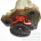 ����� �������� 3-� ����. � ��. [341-040006] / 442 070 200 254 (10293)