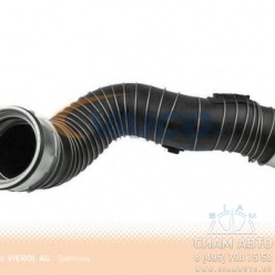 �/� ���� (�00034)