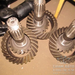 ������� ���� / 103-2402020 (61283)