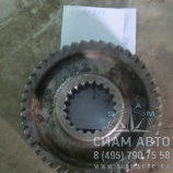 �������� ����������� ���������� Z = 20/46  [2017230544] (10894)