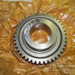 �������� ����. ��������. ���� �������������� / 115303013 /  S6-160 (Z00189)