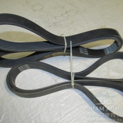 ������ 6��1285 ������������ Antinanic oil (50070)