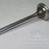 ������ ��������� [341-020262] (10460)