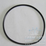 ���������� ������ 6 CT 8.3 XML6129 (�00054)