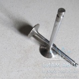 Клапан впускной DS11, DS14 / 1361192 (91359) Клапан впускной DS11, DS14 / 1361192 (91359)