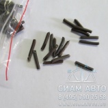 ����� ����� (61101)