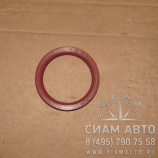 ������� 55�70�8 [3.18.25] (10302)