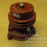 Насос водяной (Д-245.7) 245-1307010А1(М) ПАЗ (60870) Насос водяной (Д-245.7) 245-1307010А1(М) ПАЗ (60870)