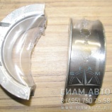   .. 3978824 ISBe 285 (+) (00446)