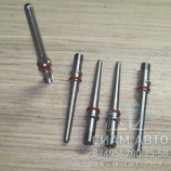 ��������� (��������) � ����������� ������� ISBE ISLE (�00638)