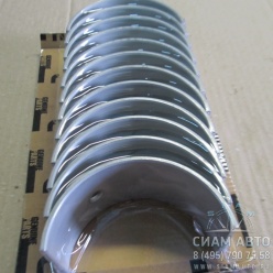   +0,5 -  -19 205842 (00753)