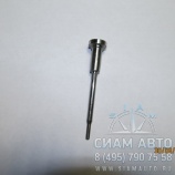 �������������� / F00RJ00339 - 007 / ����� (�00063)