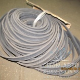 ������� ����� ���� (41569)