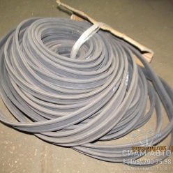 ������� ����� ���� (41569)