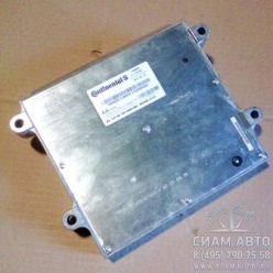 ����������� ������ (�00059)