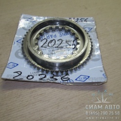 ���� �������������� 109304017 1 XML6129 (20256)