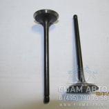     Hardy  CK1000 100N2-095 (00099)
