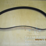 Ремень привода ГПВ 5292 / 8РК1222 (50317) Ремень привода ГПВ 5292 / 8РК1222 (50317)