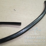    1  XMQ (40834)