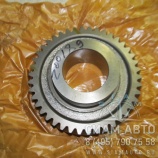 Шестерня пост. зацеплен. вала промежуточного / 115303013 / S6-160 (Z00189) Шестерня пост. зацеплен. вала промежуточного / 115303013 / S6-160 (Z00189)