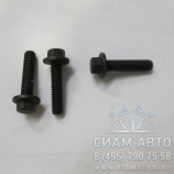 ���� �������� �6/24 / 3902023 (�+) (�00904)