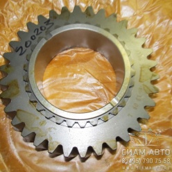 �������� 3 �������� ���� ���������� 34���/ 1156304024 /  S6-160 (Z00203)