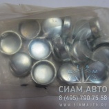 Заглушка ? 17,73 мм блока цилиндров 6ISBe (3), 3900956 (С01039) Заглушка ? 17,73 мм блока цилиндров 6ISBe (3), 3900956 (С01039)